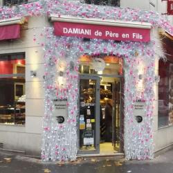 Maison Damiani