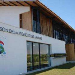 Maison De La Vigne Et Des Saveurs