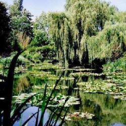 Maison Et Jardins De Claude Monet