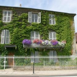 Maison Louis Pasteur Musée
