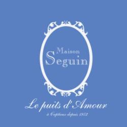 Maison Seguin Puits D'amour De Captieux