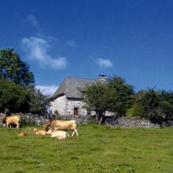 Maisonnette Proche De La Ferme - Gîtes De France