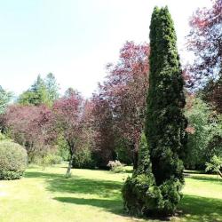 Manoir De Camblain