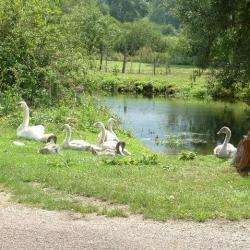 Marais Des Grands Prés