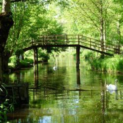 Marais Poitevin