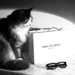 Marc Le Bihan Opticien