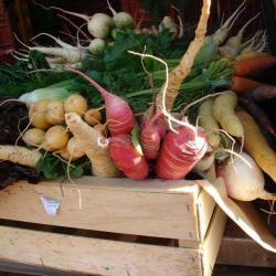 Marché Amiral Bruix