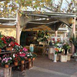 Marché Aux Fleurs
