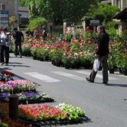 Foire Aux Fleurs