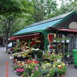 Marché Aux Fleurs