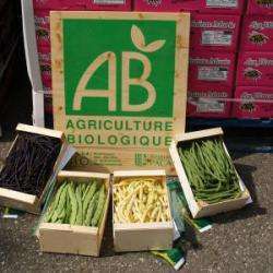 Marché Aux Fruits Et Légumes