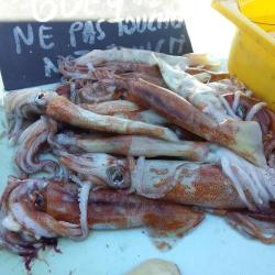 Marché Aux Poissons