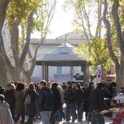 Marche Aux Puces