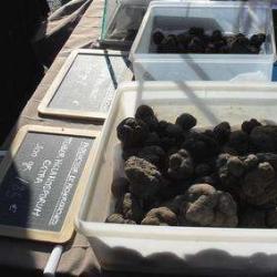 Marché Aux Truffes En Tricastin