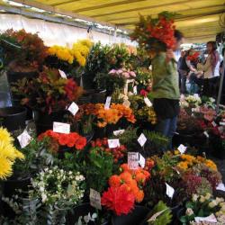 Marché Bastille
