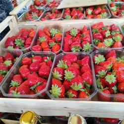 Marché Belgrand