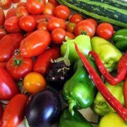 Marché Bio