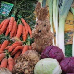 Marché Biologique Brancusi