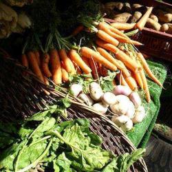 Marché Batignolles Bio
