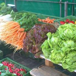 Marché Biologique