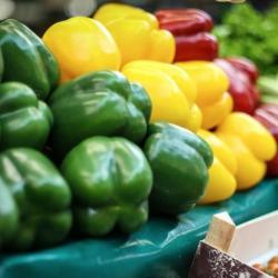 Marché Central Alfortville