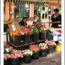 Marché Cimiez