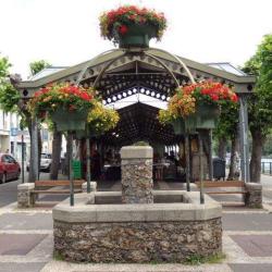 Marché D' Andrésy