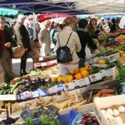 Marché De La Cathedrale