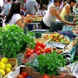 Marché De Lons Le Saunier