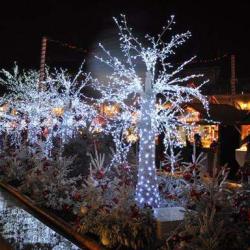 Marché De Noël De Dijon
