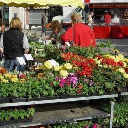 Marché De Saint Joseph De Porterie