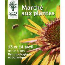 Marché Des Plantes