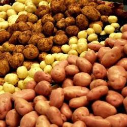 Marché Du Centre