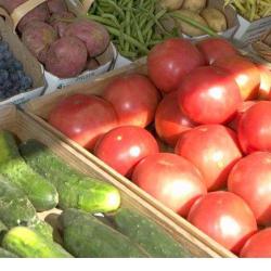 Marché Du Centre
