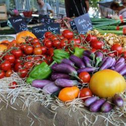 Marché Du Vendredi