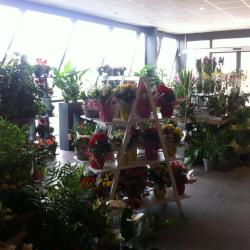 Marché Floral Audomarois