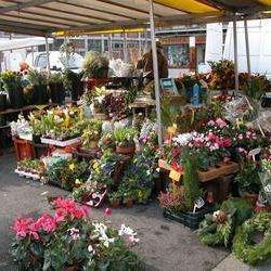 Marché Frileuses