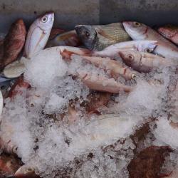 Marché Poissonnier De Beaulieu-sur-mer
