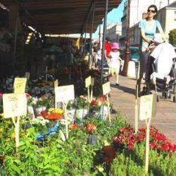 Marché Aux Fleurs