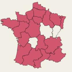 Marcus Conseils Et Investissements
