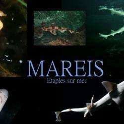 Mareis Centre De La Peche Artisanale