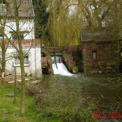 Maresches