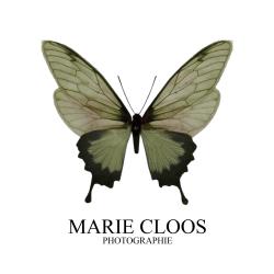 Marie Cloos Photographie
