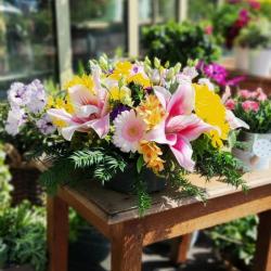 Marie Fleurs