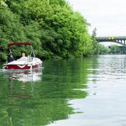 Marin D'eau Douce Bougival