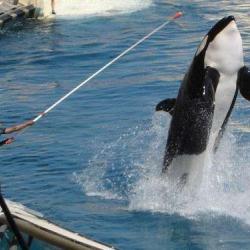 Marineland