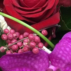 Marquilly Fleurs