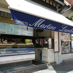 Martine Lambert Glaces Et Sorbets