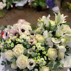 Martino Fleurs