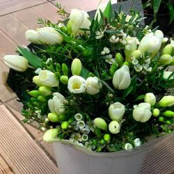 Martino Fleurs